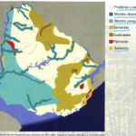 Mapa biomas del Uruguay