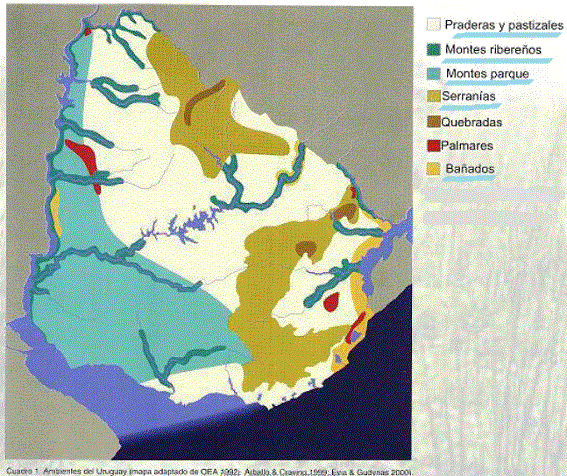 Mapa bioma y clima uruguay
