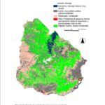 Mapa de Suelos Uruguay según drenaje