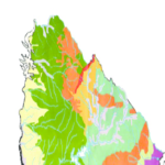 Mapa de biomas de Uruguay con foto referencias
